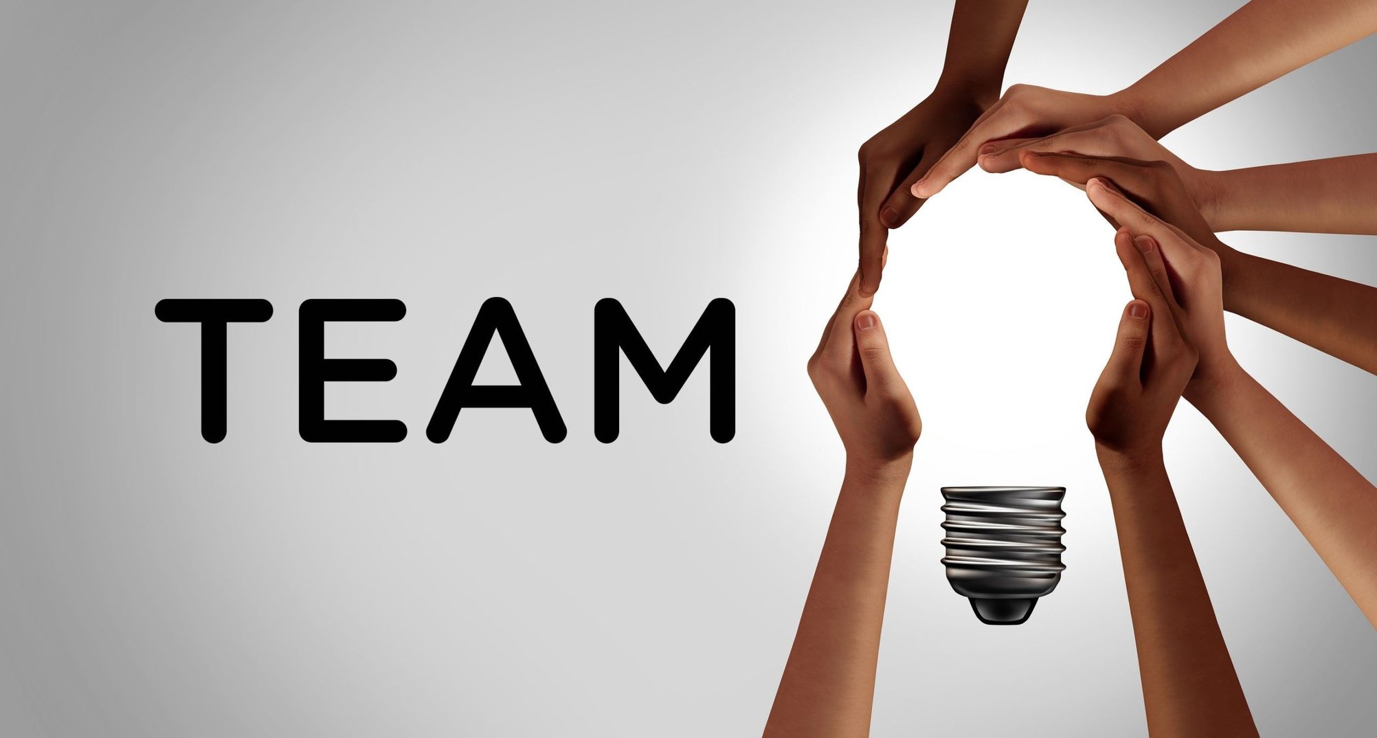 our team